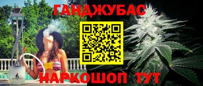 индика Ирбит