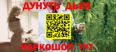 индика Ирбит