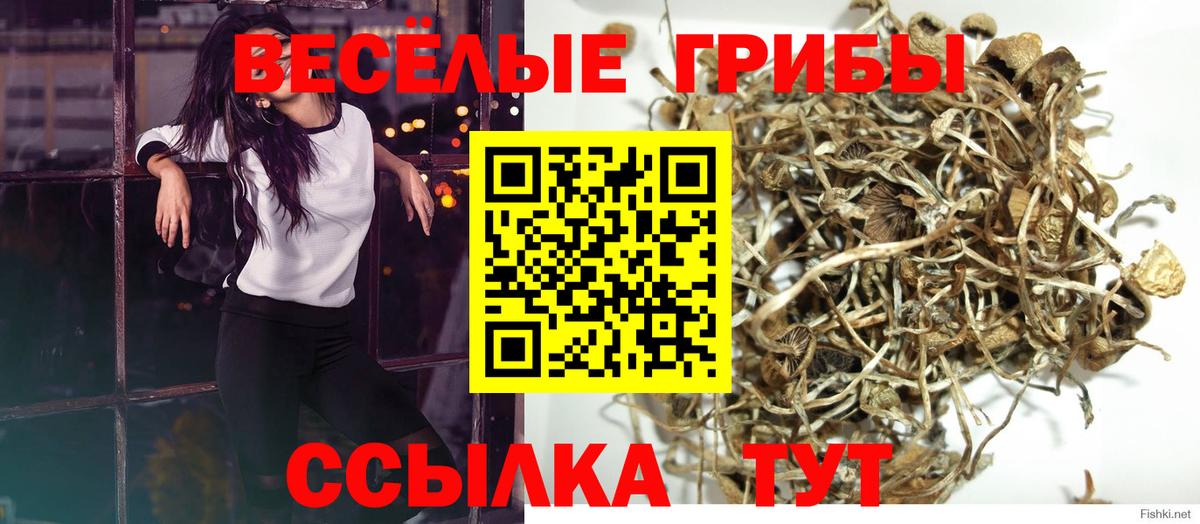 наркошоп  Вход с VPN  Мурманск  Галлюциногенные грибы GOLDEN TEACHER 