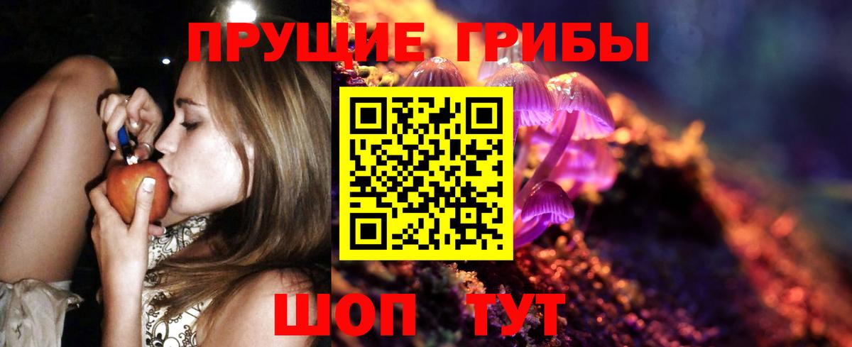 Галлюциногенные грибы прущие грибы Мурманск